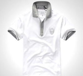 價格,廠家,批發(fā),男式t恤,東莞市虎門金依麗服裝廠